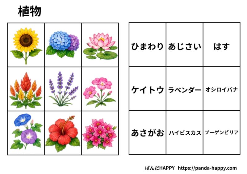 夏の植物マッチングプリントのプレビュー